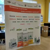 Pop up Classic примеры работ