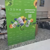 Пресс волл изи, press wall easy