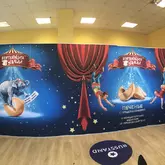 Пресс волл изи, press wall easy